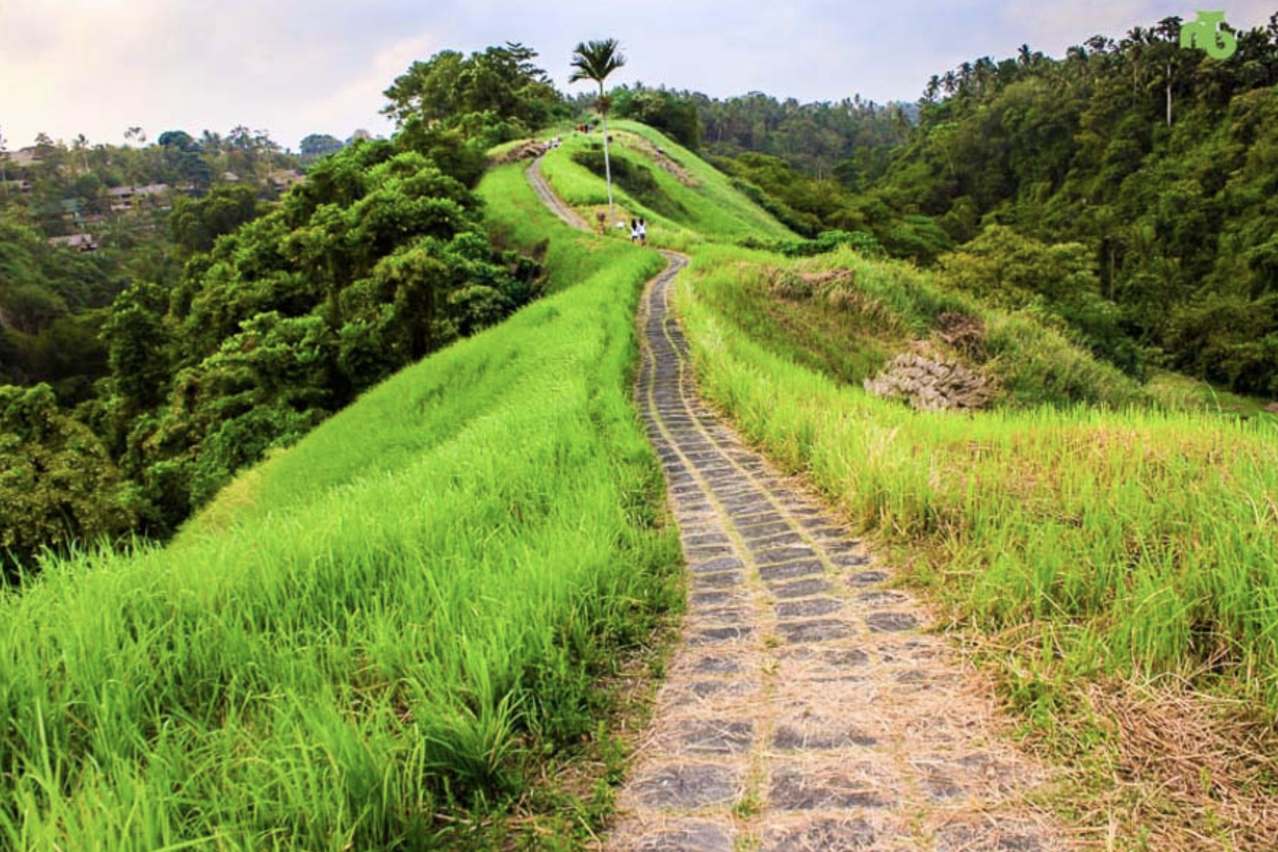 Bucket List Bday Tour — Zone Travel